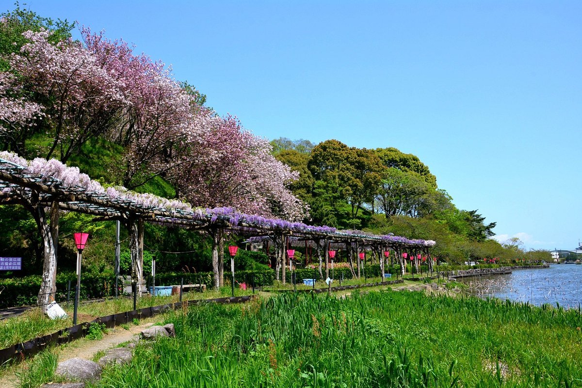 🏞️ 렌게지이케 공원 이미지 8